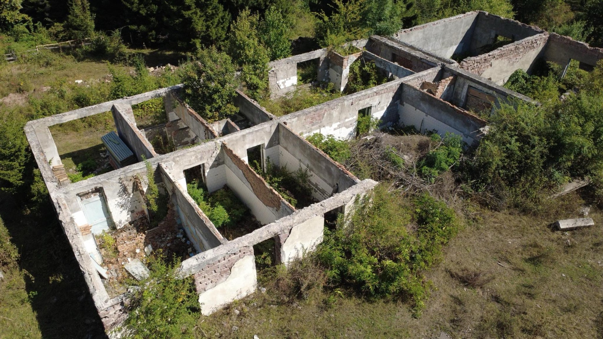 Dronefoto av ruiner av et gammelt bygg i Tsemi, Georgia, overgrodd grunnmur.